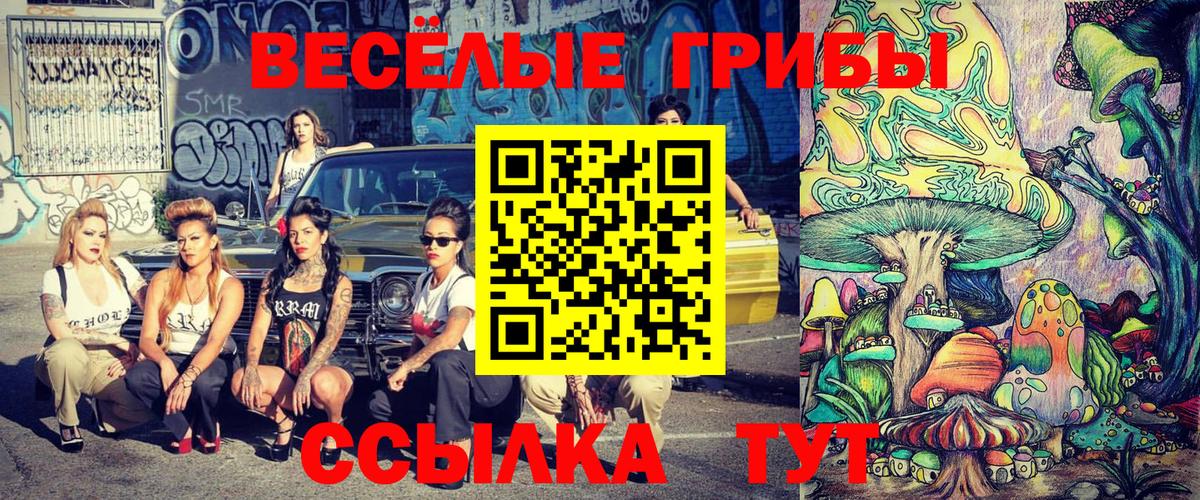 Псилоцибиновые грибы мицелий Мытищи
