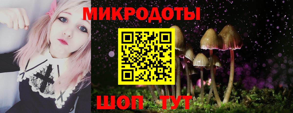 Мытищи  Псилоцибиновые грибы мухоморы  Вход с VPN 